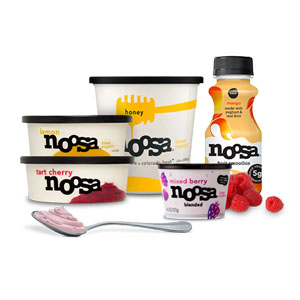 Free Noosa Yogurt